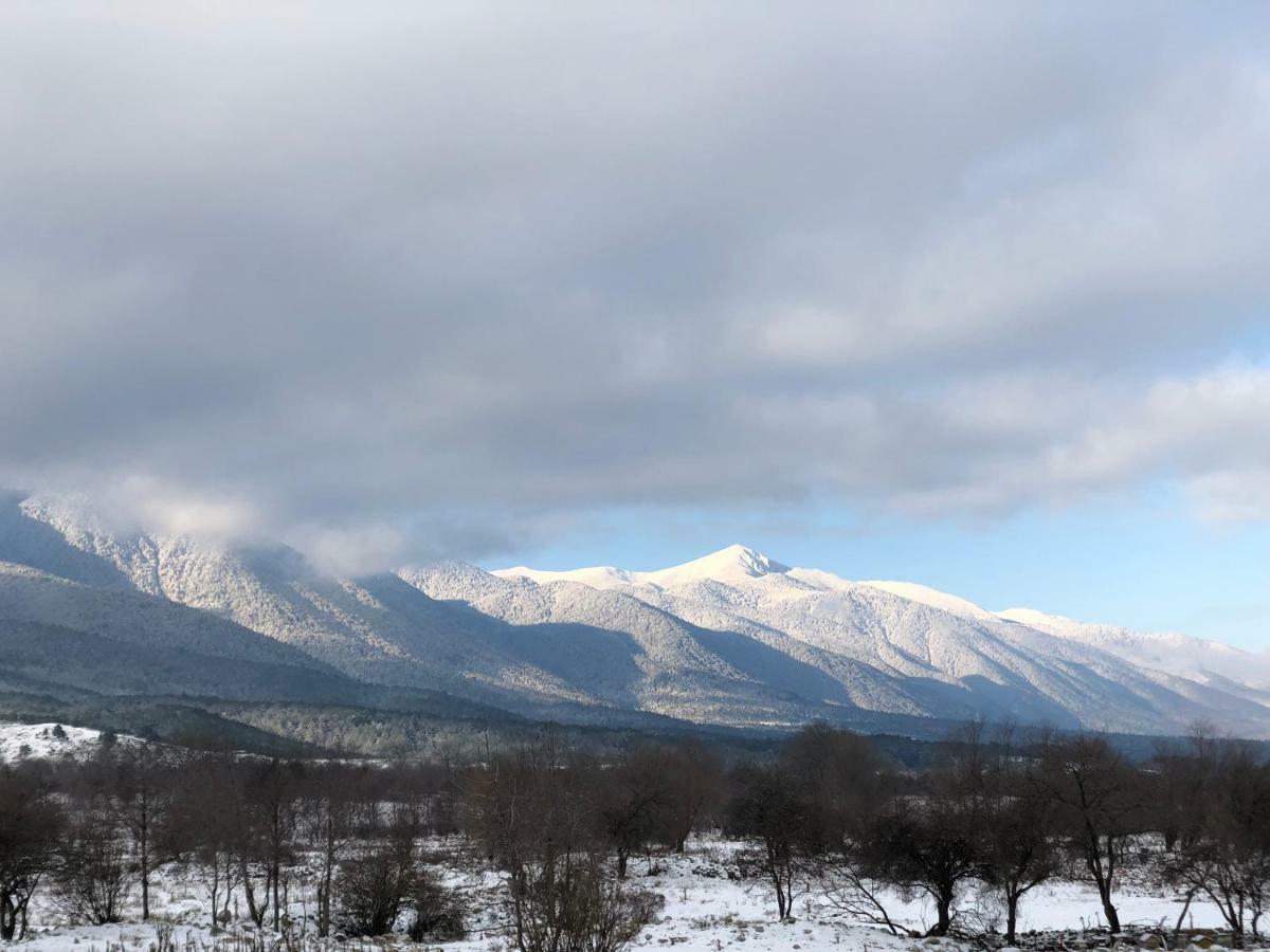 Belvedere Holiday Club .......Vip Apartamento Bansko Exterior foto